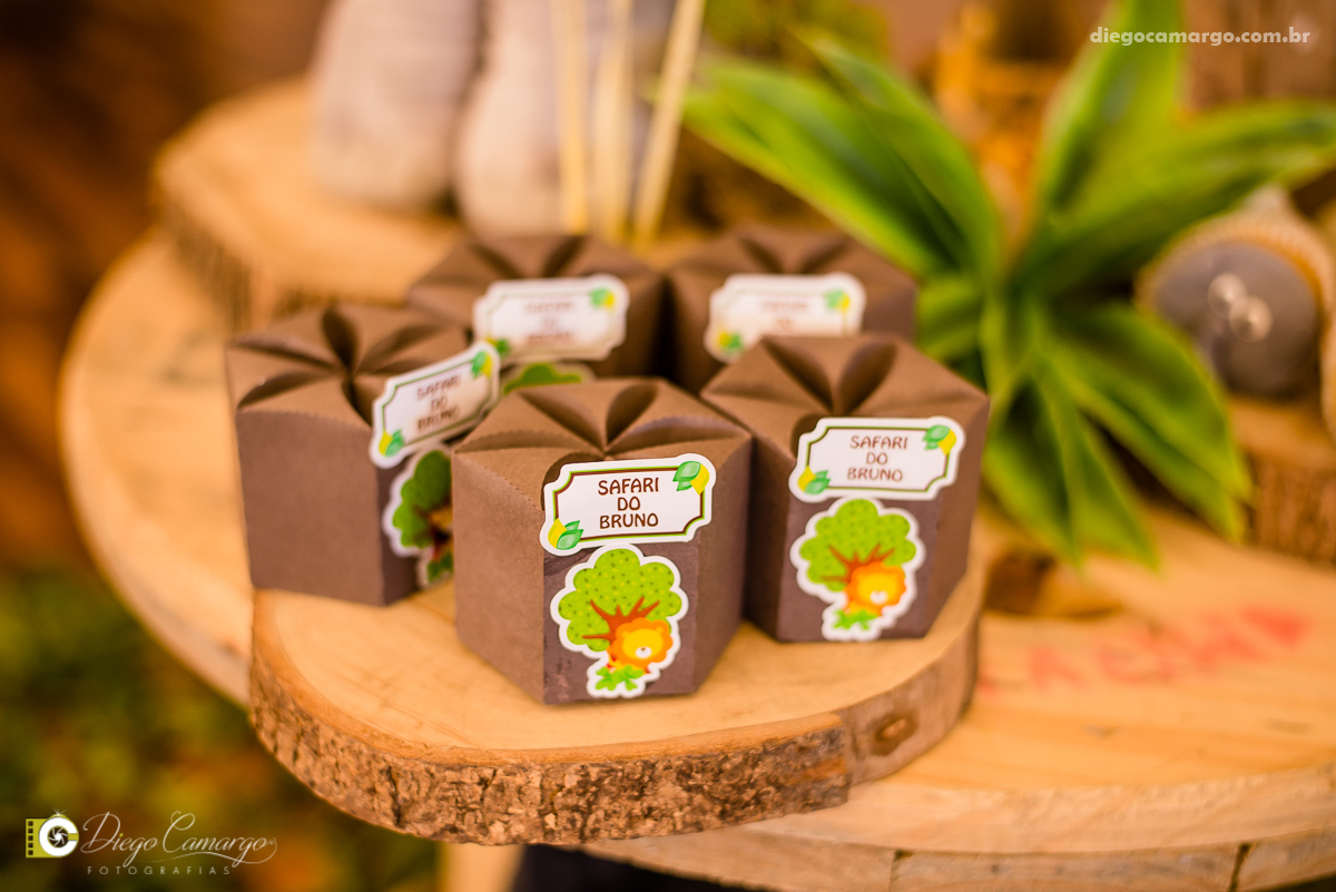 aniversário, bruno, espuleto, festa, decoração, caçador, selva, animais, floresta, brincadeira, bolo, docinhos, salgadinhos, 