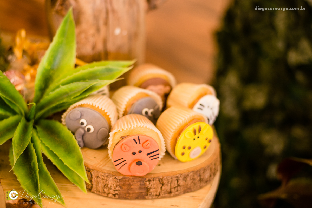 aniversário, bruno, espuleto, festa, decoração, caçador, selva, animais, floresta, brincadeira, bolo, docinhos, salgadinhos, 