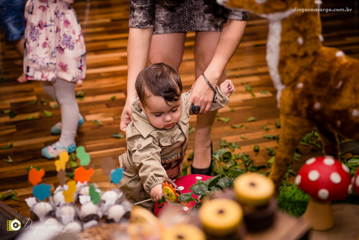 aniversário, bruno, espuleto, festa, decoração, caçador, selva, animais, floresta, brincadeira, bolo, docinhos, salgadinhos, 