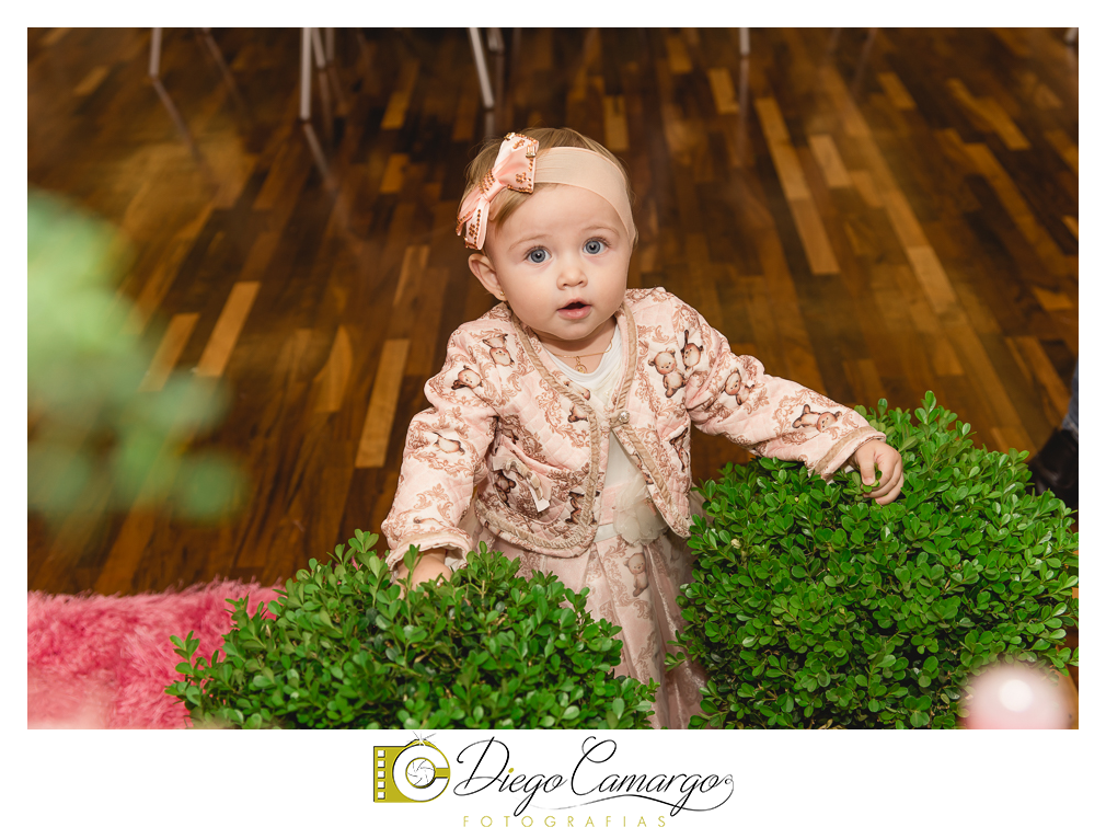 Quem comemorou seu primeiro aninho de vida foi a Rafaela. Parabéns papai Tobias e a mamãe Mariana pela linda família. Que vocês sejam muito felizes e que a Rafaela tenha muita saúde, alegria, paz  e força para supe