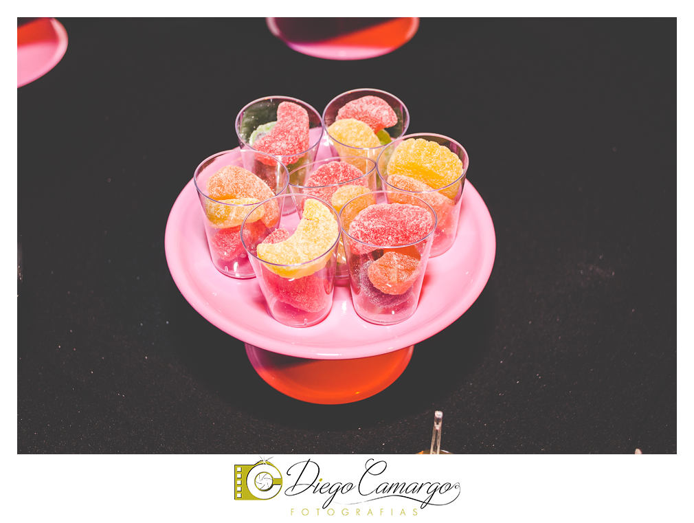 ensaio, 15 anos, debutante, fotografo, fotografa caçador, foto caçador, fotografa caçador, fotografo caçador, moda caçador, moda, caçador, festa debutante, maquiagem, cabelo, vestido,