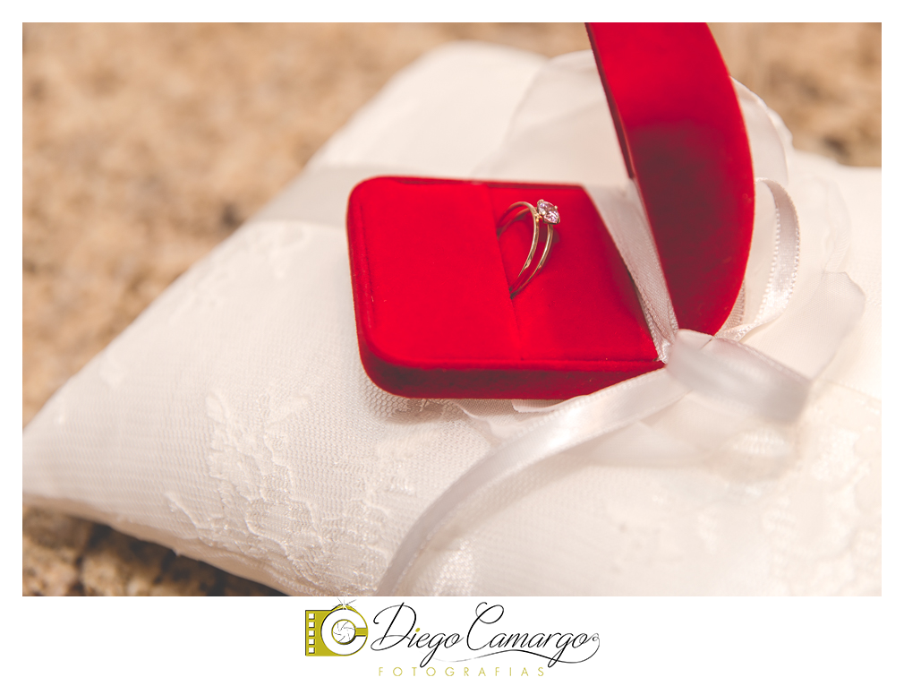 ensaio, 15 anos, debutante, fotografo, fotografa caçador, foto caçador, fotografa caçador, fotografo caçador, moda caçador, moda, caçador, festa debutante, maquiagem, cabelo, vestido, anel, alinsa