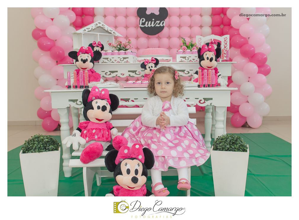 aniversário, decoração, festa infantil, caçador, fotografo caçador, fotografo santa catarina, casamento, fotografo casamento, familia, ensaio,