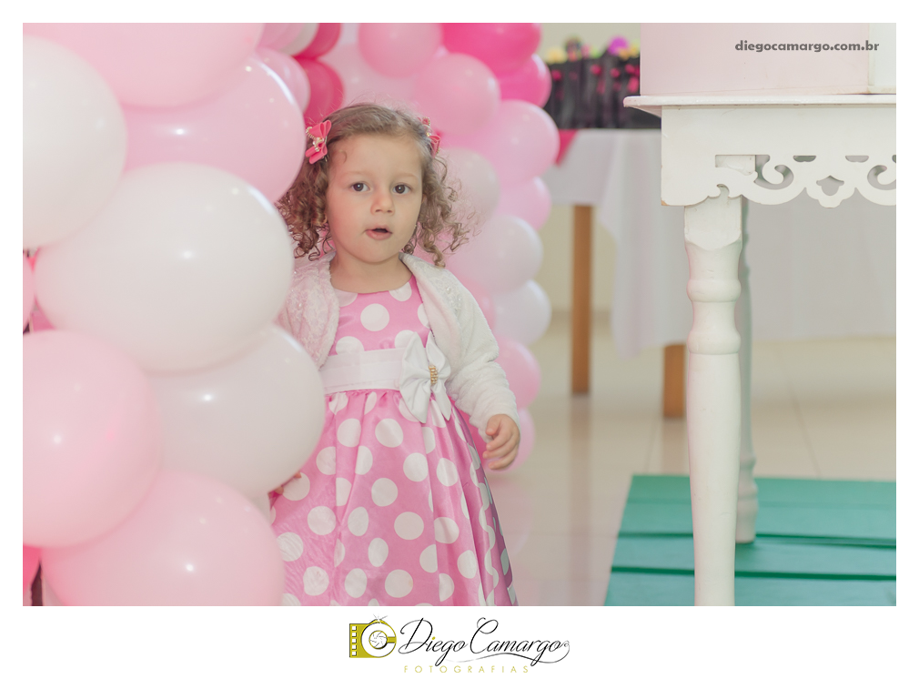 aniversário, decoração, festa infantil, caçador, fotografo caçador, fotografo santa catarina, casamento, fotografo casamento, familia, ensaio,