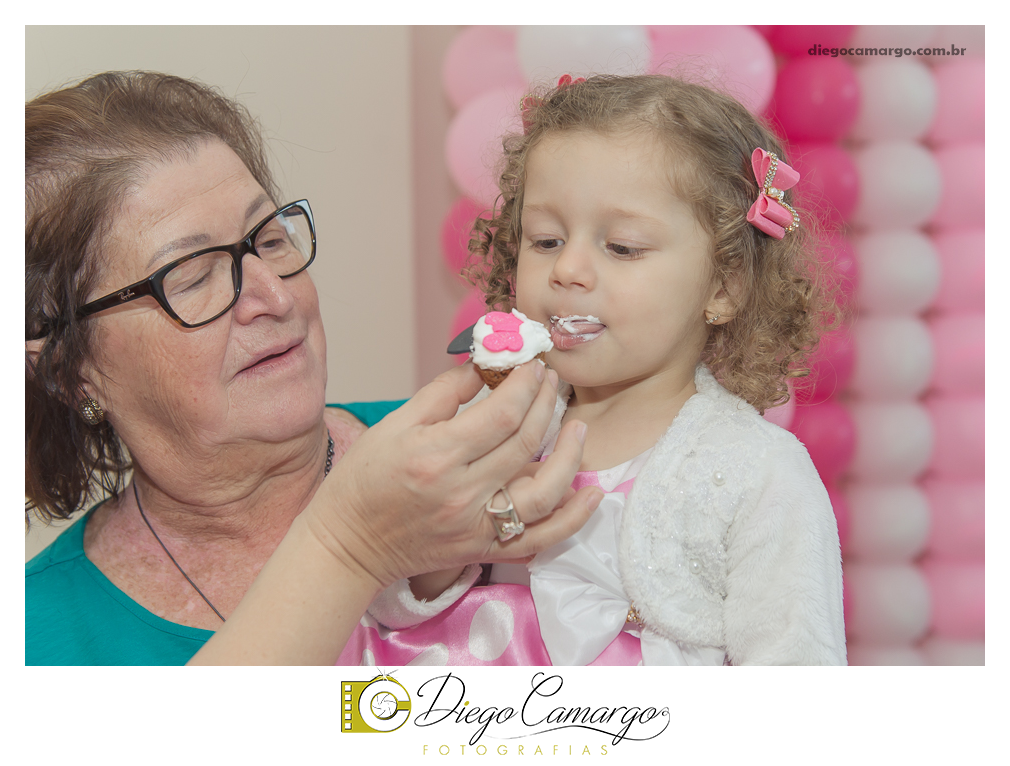 aniversário, decoração, festa infantil, caçador, fotografo caçador, fotografo santa catarina, casamento, fotografo casamento, familia, ensaio, doces, salgados