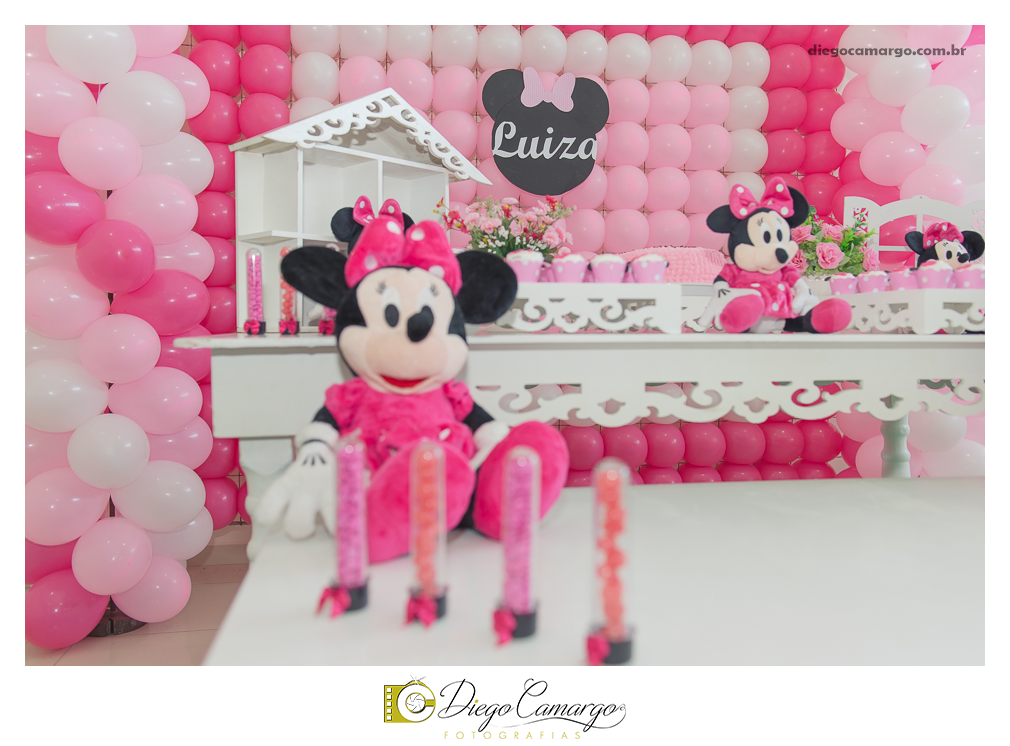 aniversário, decoração, festa infantil, caçador, fotografo caçador, fotografo santa catarina, casamento, fotografo casamento, familia, ensaio,