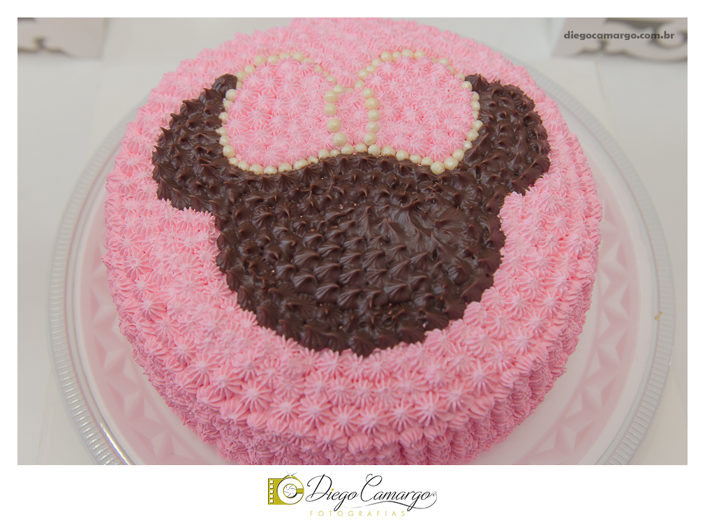 aniversário, decoração, festa infantil, caçador, fotografo caçador, fotografo santa catarina, casamento, fotografo casamento, familia, ensaio,