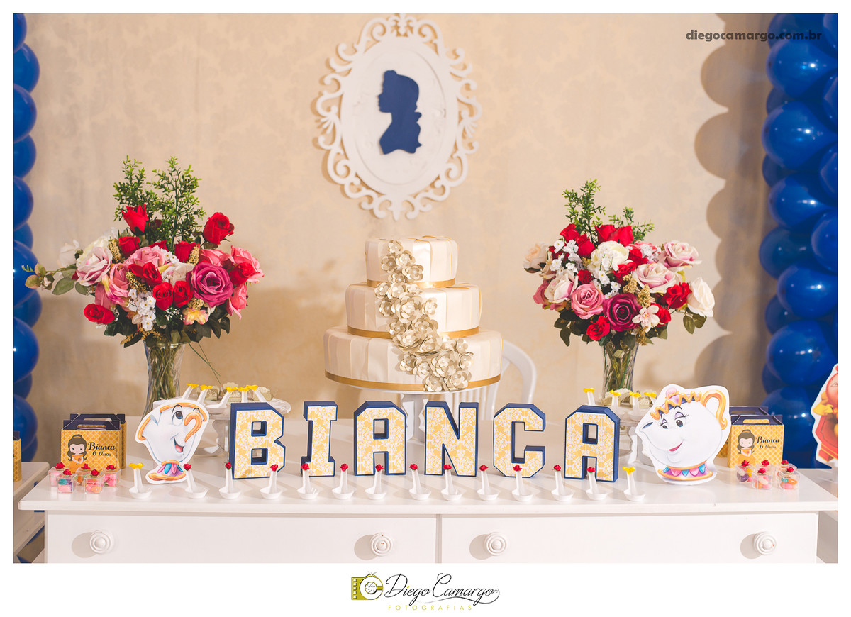 aniversário, decoração, festa infantil, caçador, fotografo caçador, fotografo santa catarina, casamento, fotografo casamento, familia, ensaio,