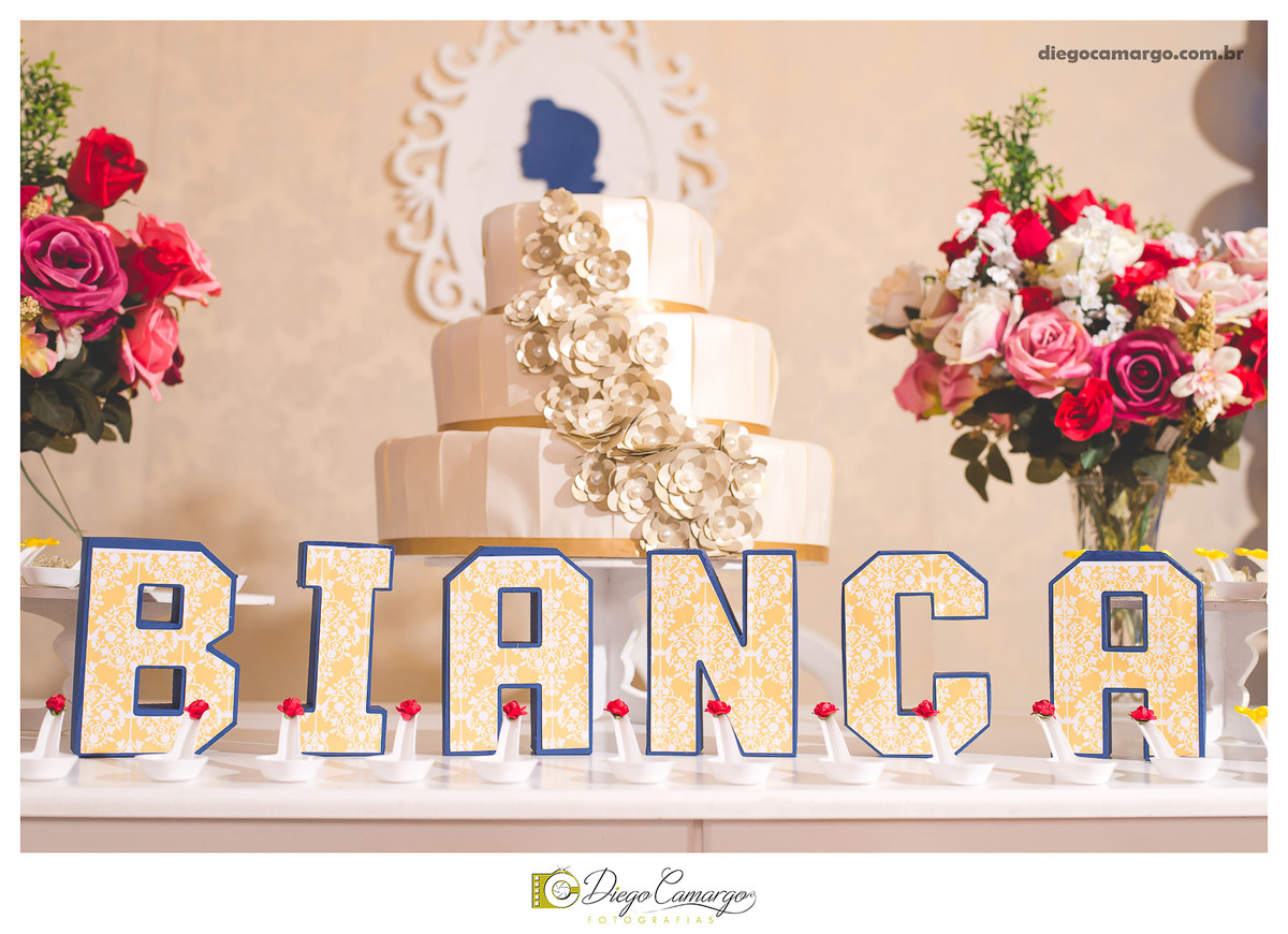 aniversário, decoração, festa infantil, caçador, fotografo caçador, fotografo santa catarina, casamento, fotografo casamento, familia, ensaio,