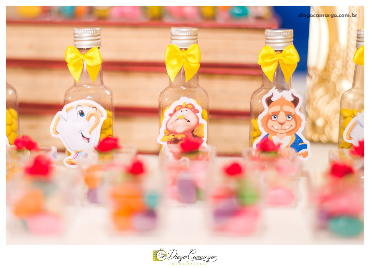 aniversário, decoração, festa infantil, caçador, fotografo caçador, fotografo santa catarina, casamento, fotografo casamento, familia, ensaio,