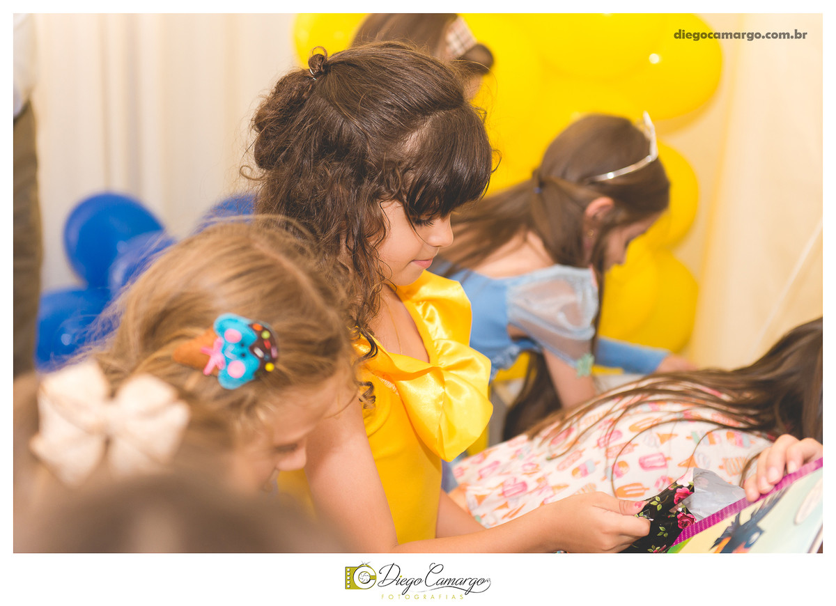 aniversário, decoração, festa infantil, caçador, fotografo caçador, fotografo santa catarina, casamento, fotografo casamento, familia, ensaio,