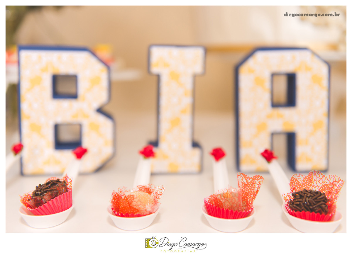 aniversário, decoração, festa infantil, caçador, fotografo caçador, fotografo santa catarina, casamento, fotografo casamento, familia, ensaio,