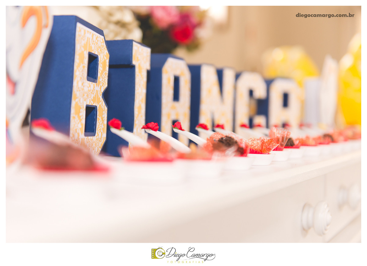 aniversário, decoração, festa infantil, caçador, fotografo caçador, fotografo santa catarina, casamento, fotografo casamento, familia, ensaio,