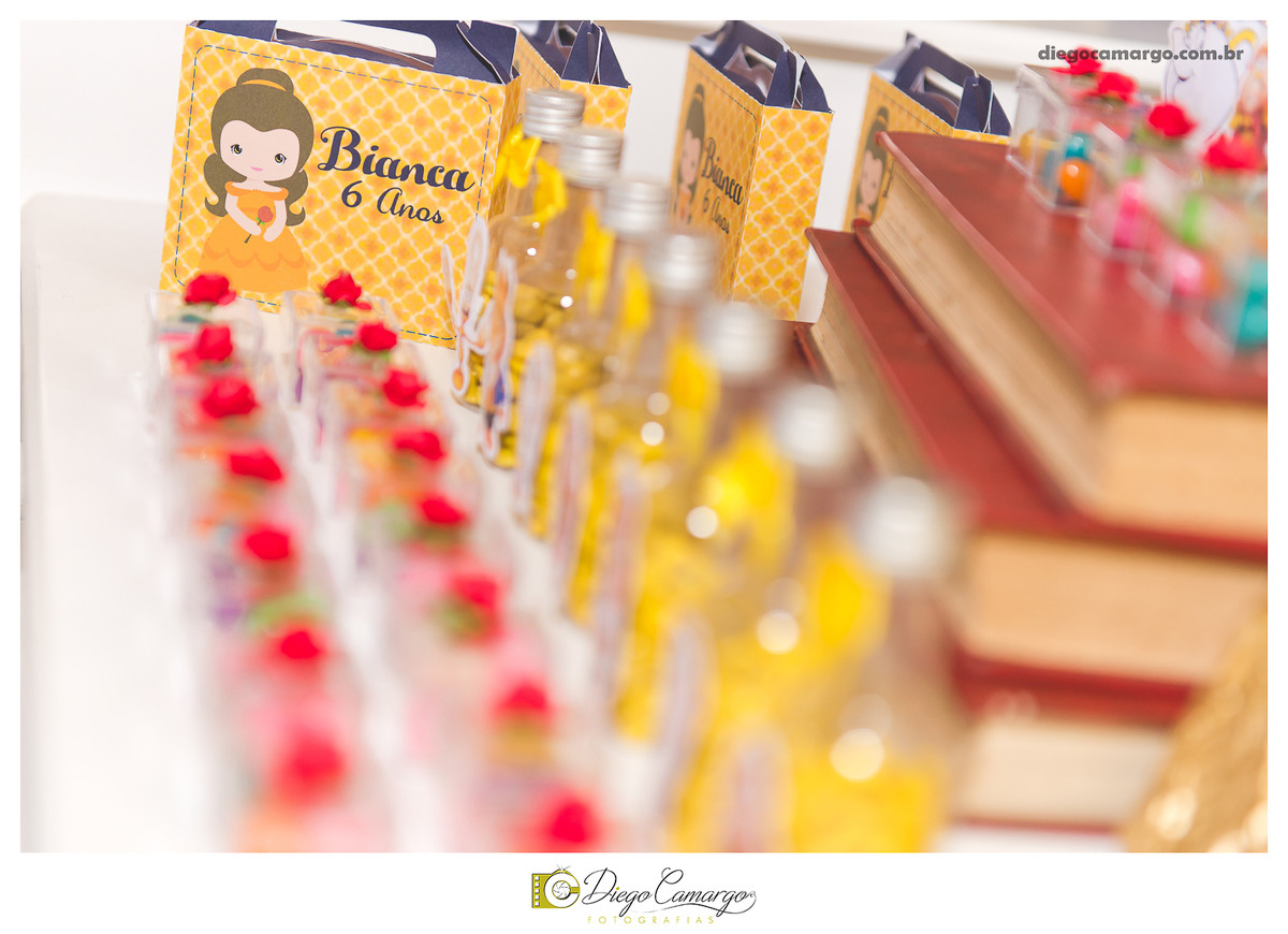 aniversário, decoração, festa infantil, caçador, fotografo caçador, fotografo santa catarina, casamento, fotografo casamento, familia, ensaio,