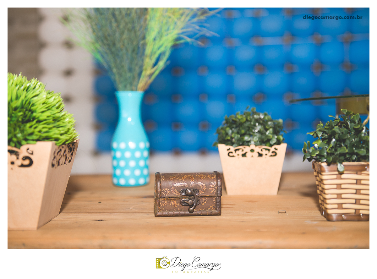 aniversario, cacador, fotografo, fotografa, festa, festinha, familia, inspiration, quiosque, scolaro fotografia caçador, decoração, morango, balão, presente, brinque, bolo. brigadeiro