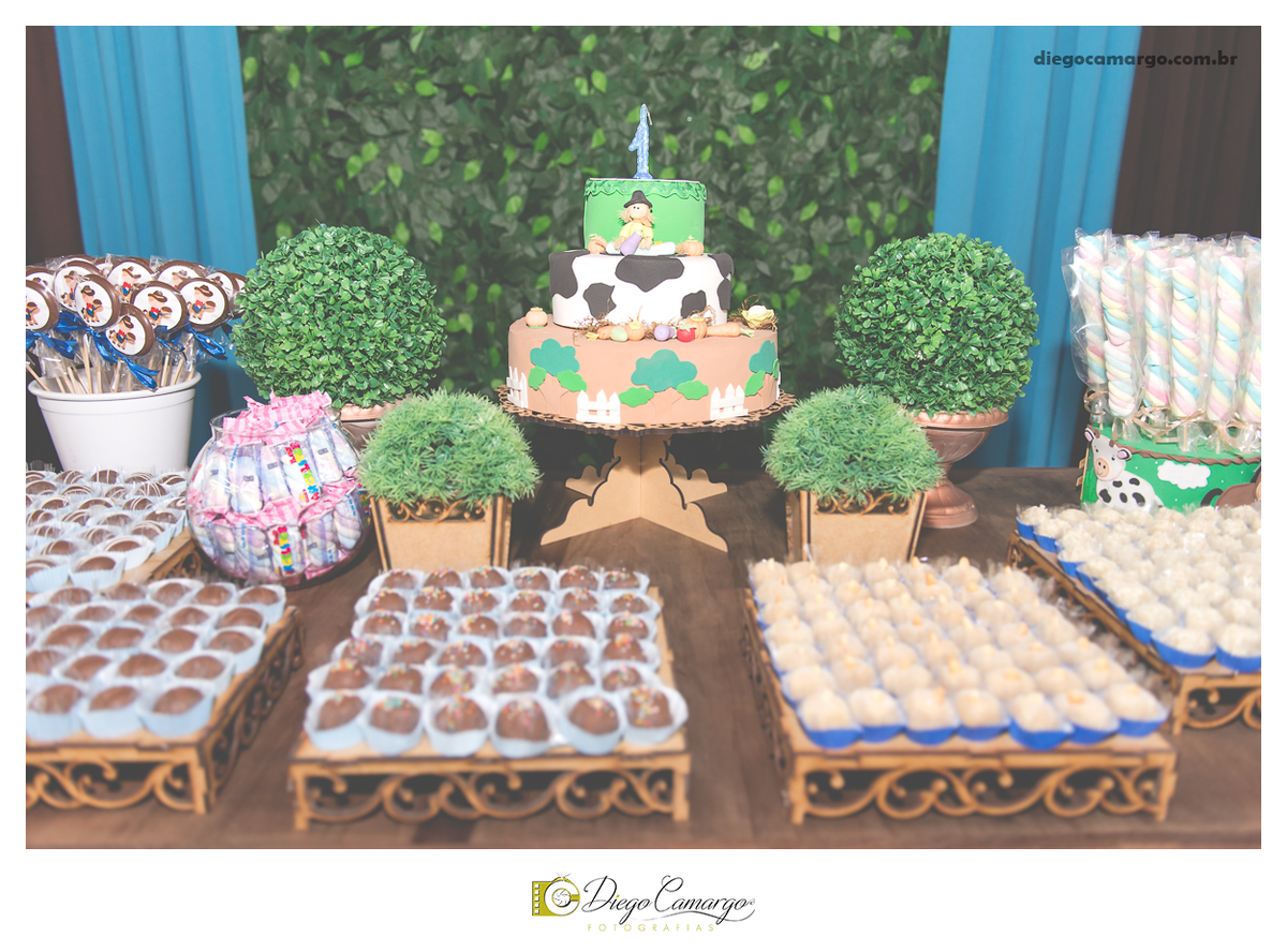 ensaio, infantil, criança, decoração, fotografo, fotografa, newborn, bebe, foto, caçador, santa catarina, fotografia, parque central, familia, aniversario, infantil, bolo, docinho, salgadinho, caçador
