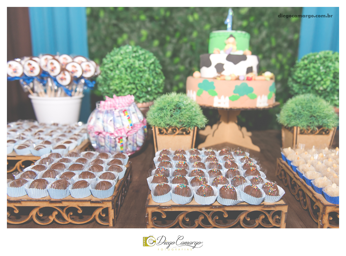 ensaio, infantil, criança, decoração, fotografo, fotografa, newborn, bebe, foto, caçador, santa catarina, fotografia, parque central, familia, aniversario, infantil, bolo, docinho, salgadinho, caçador