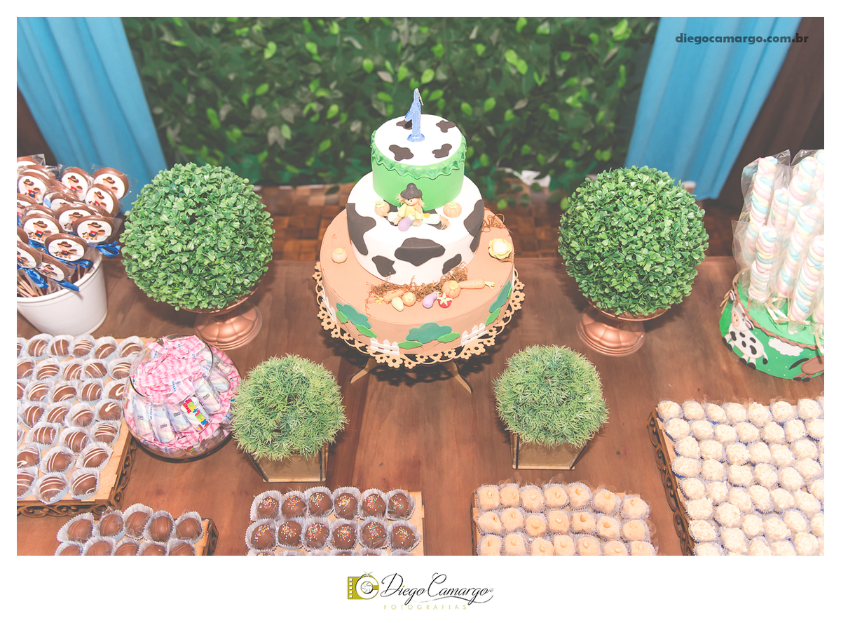 ensaio, infantil, criança, decoração, fotografo, fotografa, newborn, bebe, foto, caçador, santa catarina, fotografia, parque central, familia, aniversario, infantil, bolo, docinho, salgadinho, caçador