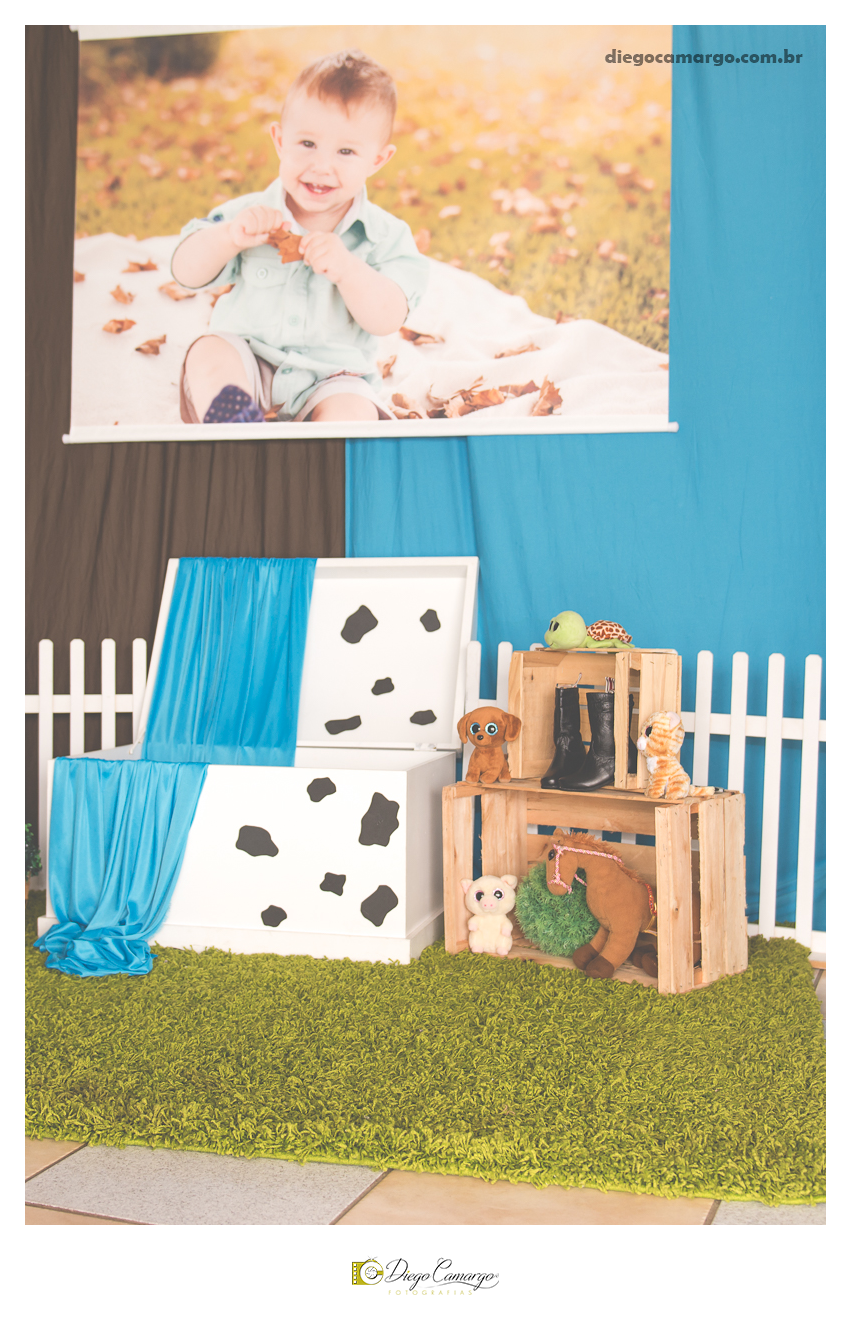 ensaio, infantil, criança, decoração, fotografo, fotografa, newborn, bebe, foto, caçador, santa catarina, fotografia, parque central, familia, aniversario, infantil, bolo, docinho, salgadinho, caçador