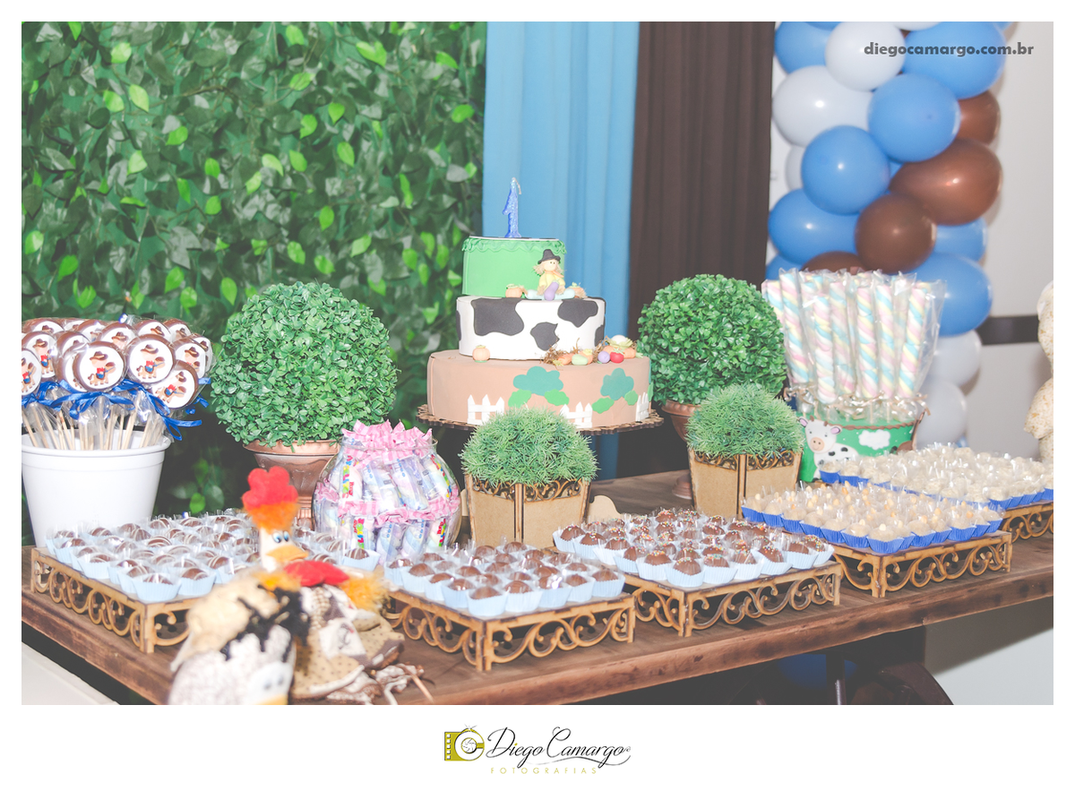 ensaio, infantil, criança, decoração, fotografo, fotografa, newborn, bebe, foto, caçador, santa catarina, fotografia, parque central, familia, aniversario, infantil, bolo, docinho, salgadinho, caçador