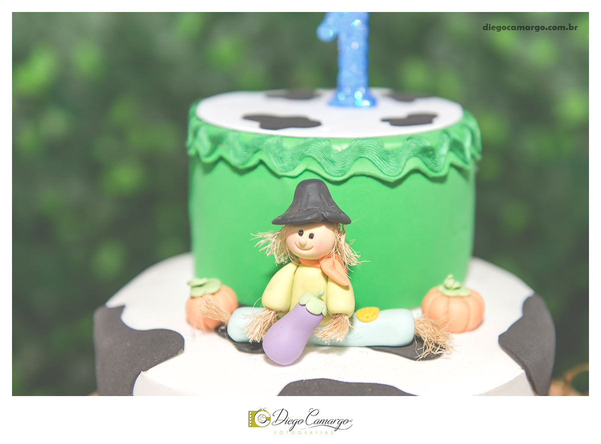 ensaio, infantil, criança, decoração, fotografo, fotografa, newborn, bebe, foto, caçador, santa catarina, fotografia, parque central, familia, aniversario, infantil, bolo, docinho, salgadinho, caçador