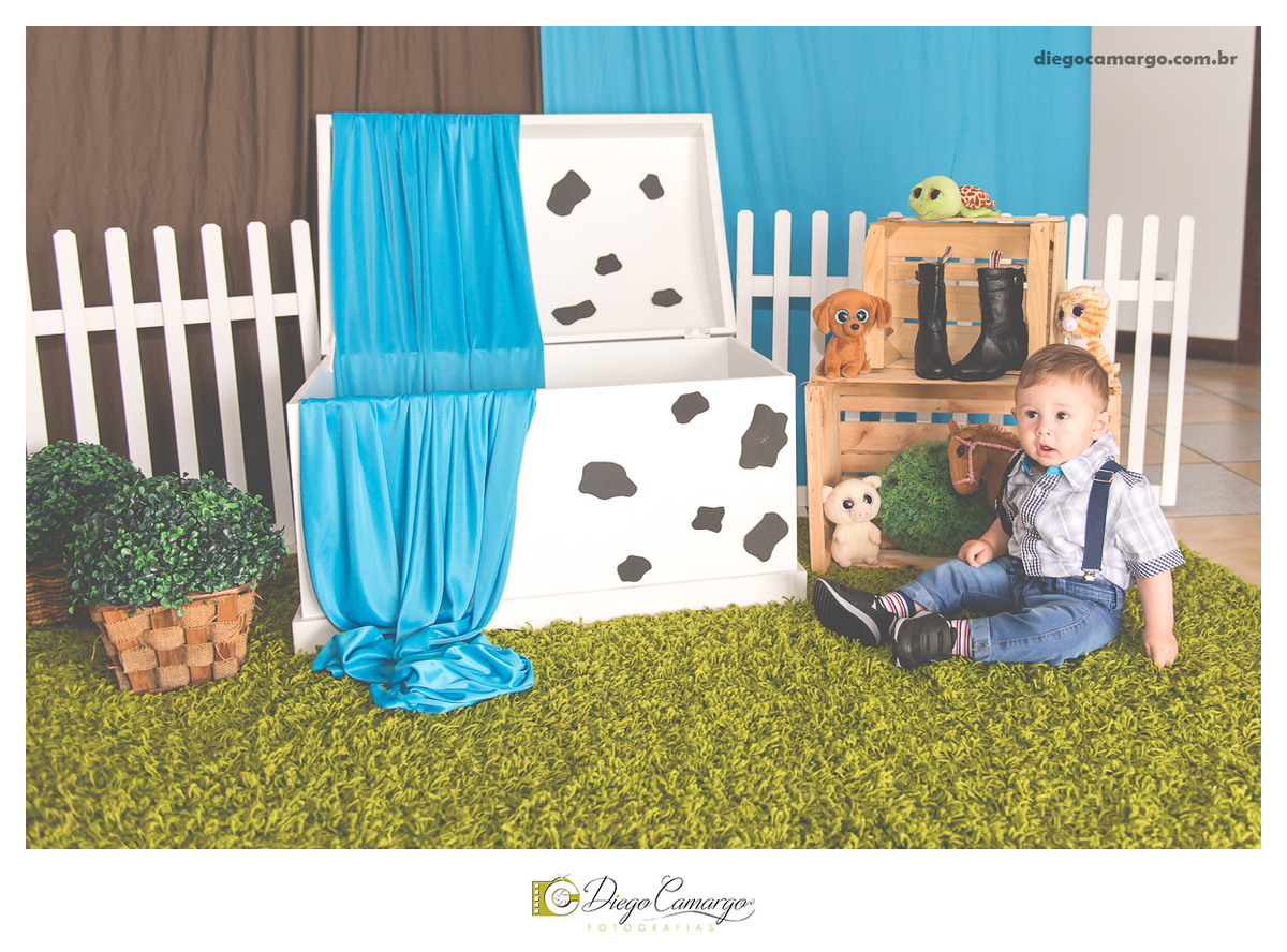 ensaio, infantil, criança, decoração, fotografo, fotografa, newborn, bebe, foto, caçador, santa catarina, fotografia, parque central, familia, aniversario, infantil, bolo, docinho, salgadinho, caçador