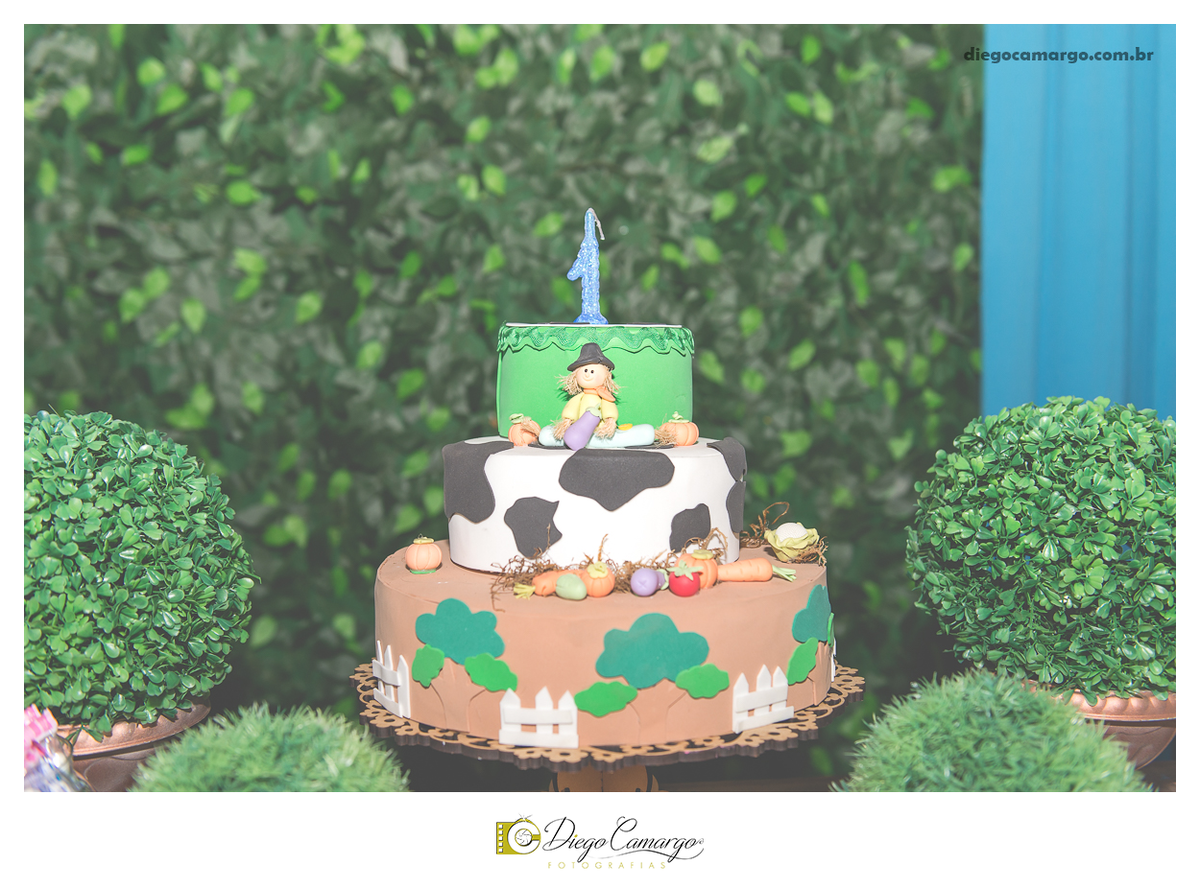 ensaio, infantil, criança, decoração, fotografo, fotografa, newborn, bebe, foto, caçador, santa catarina, fotografia, parque central, familia, aniversario, infantil, bolo, docinho, salgadinho, caçador