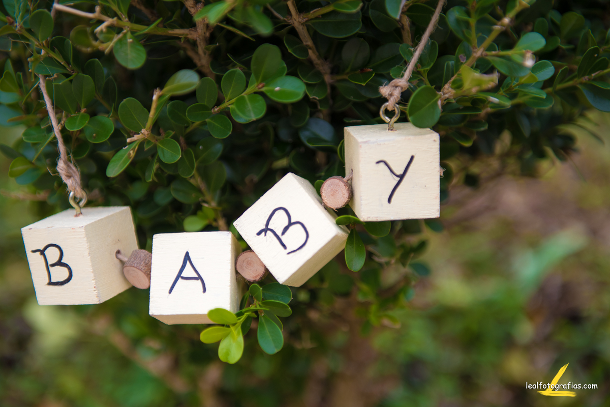 Letras decorativas baby ensaio gestante