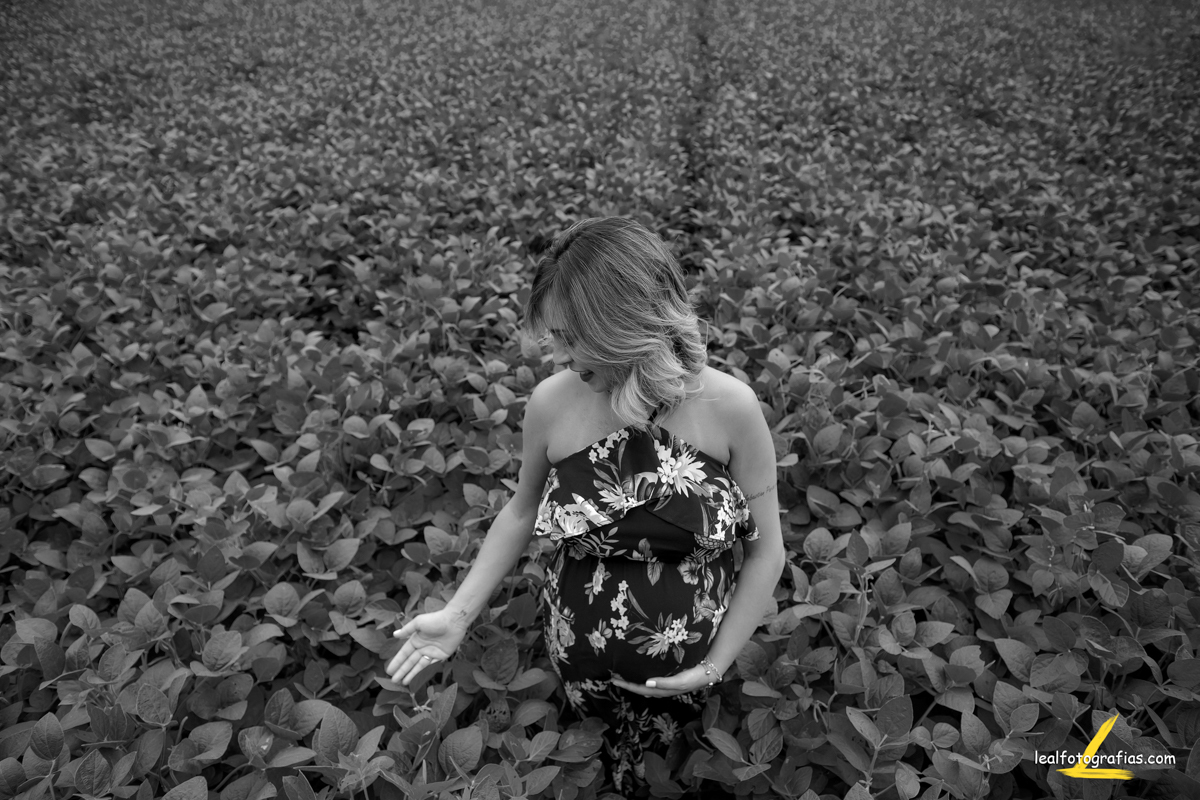 ensaio gestante na plantação luz natural 