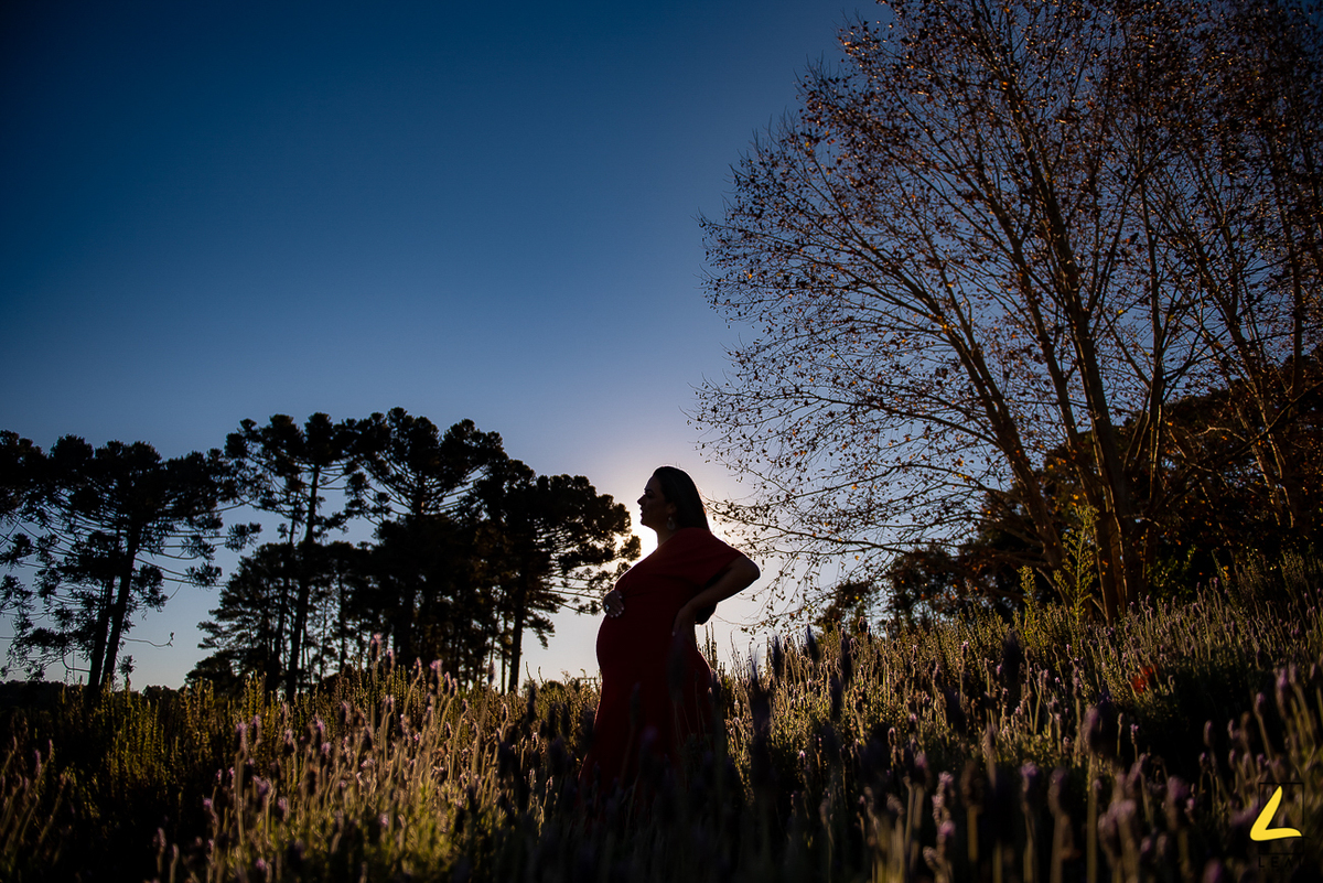Silhueta de gestante no Lavandário por Leal Fotografias