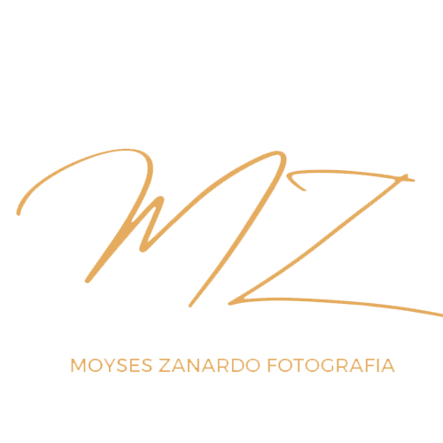 Logotipo de Moyses Zanardo