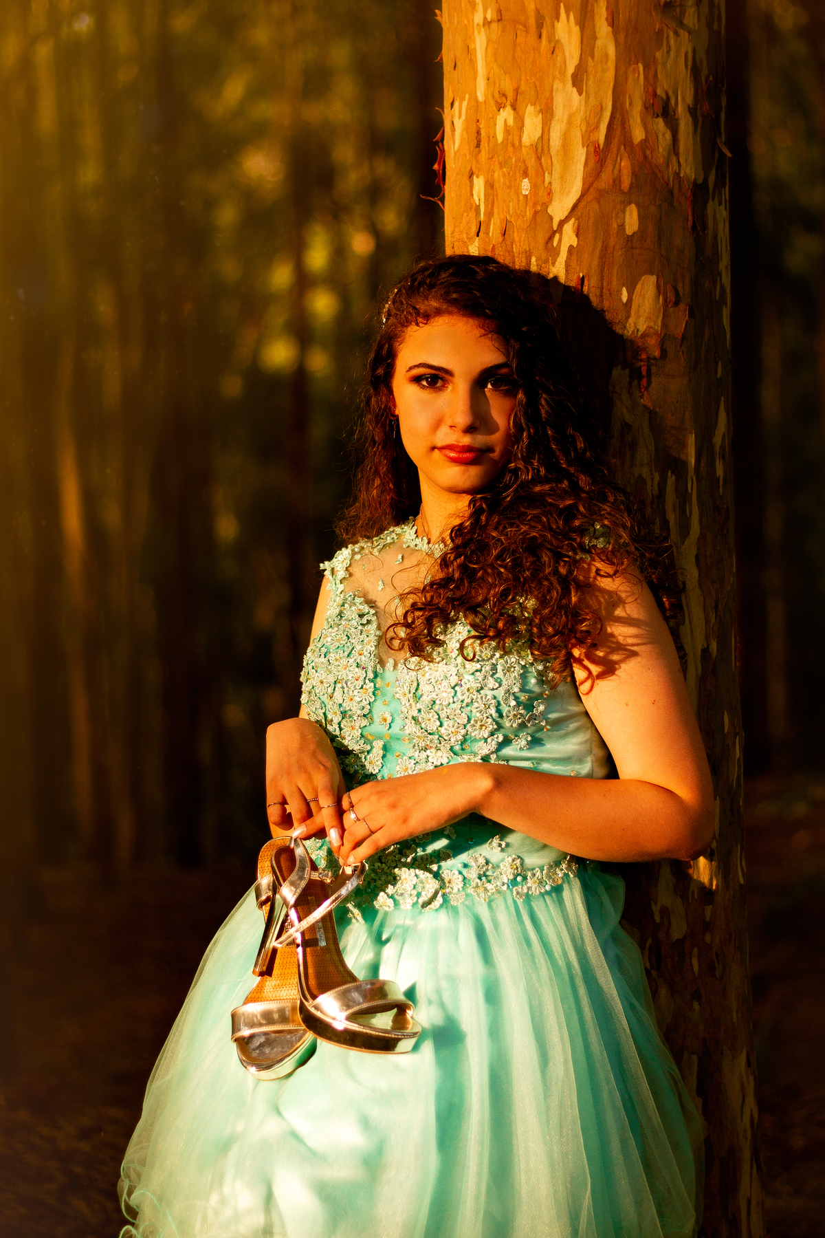 hora dourada no bosque