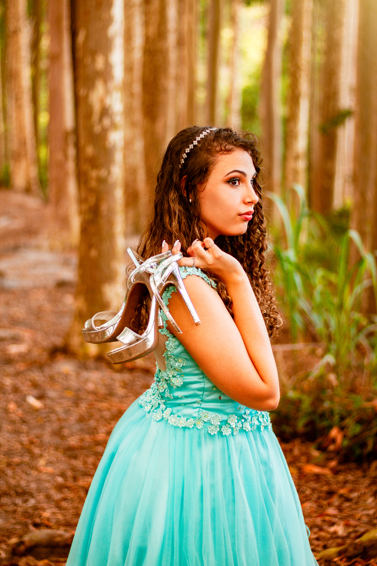 sapatinho de cristal