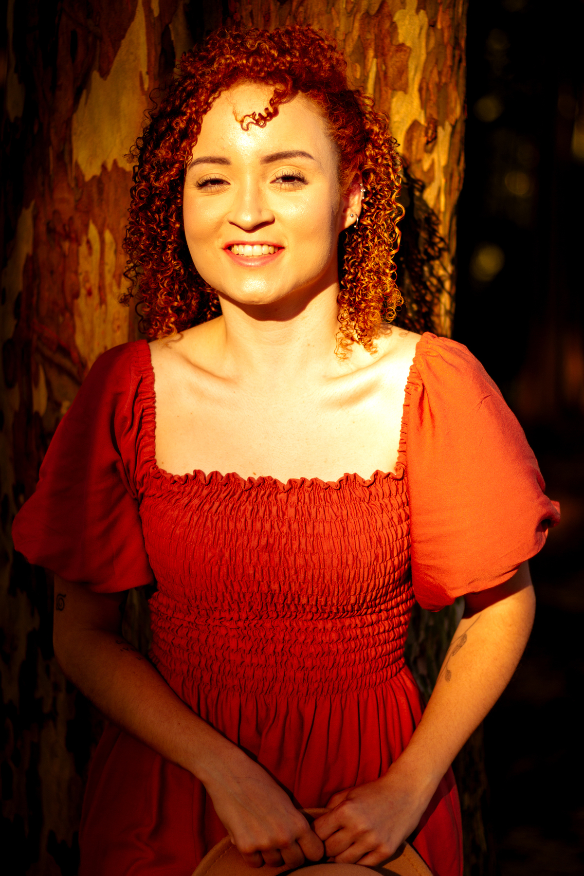 luz dourada que entra pelas brechas dos eucaliptos durante o pôr do sol