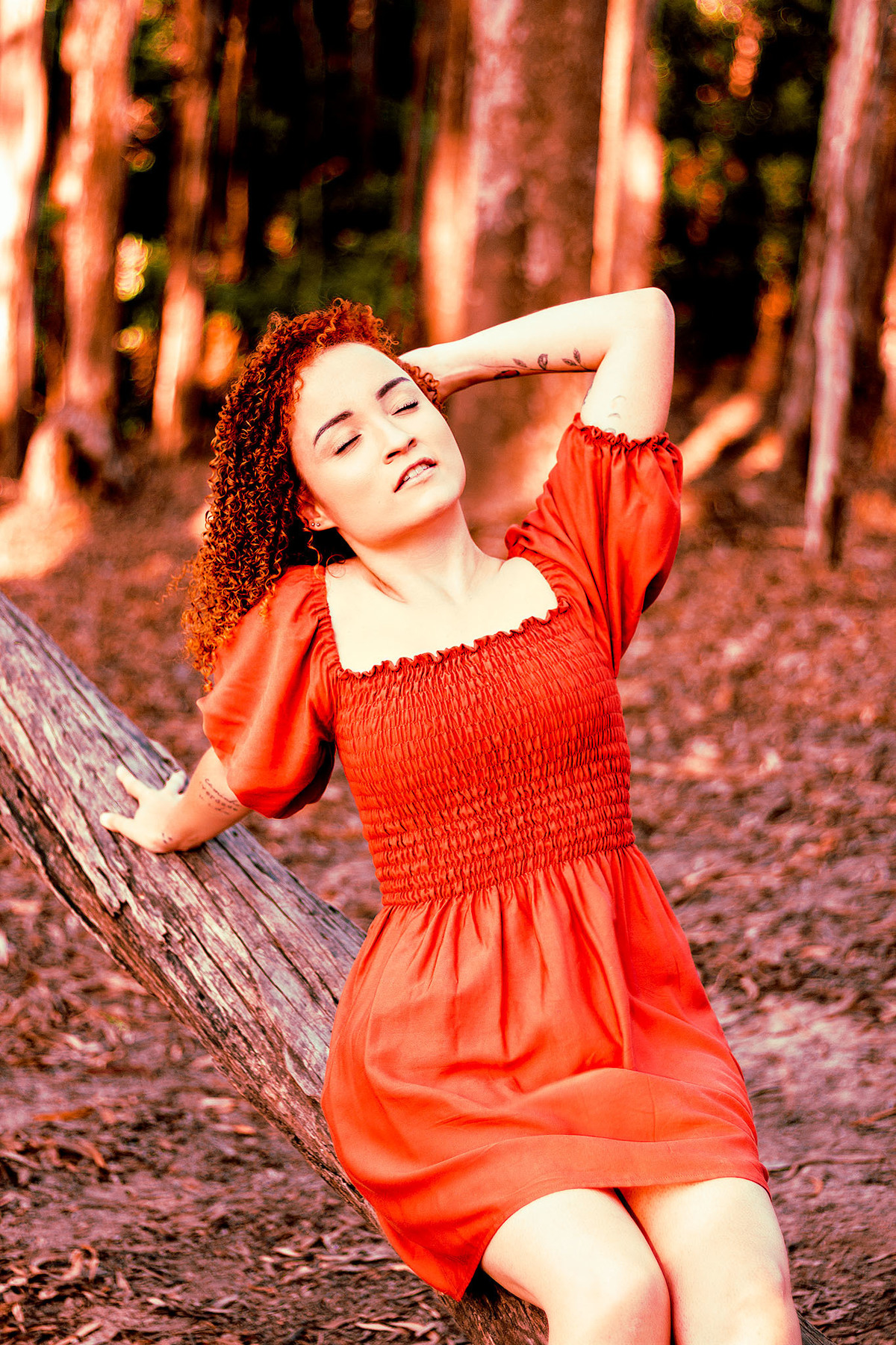 ensaio fotográfico no bosque durante pôr do sol