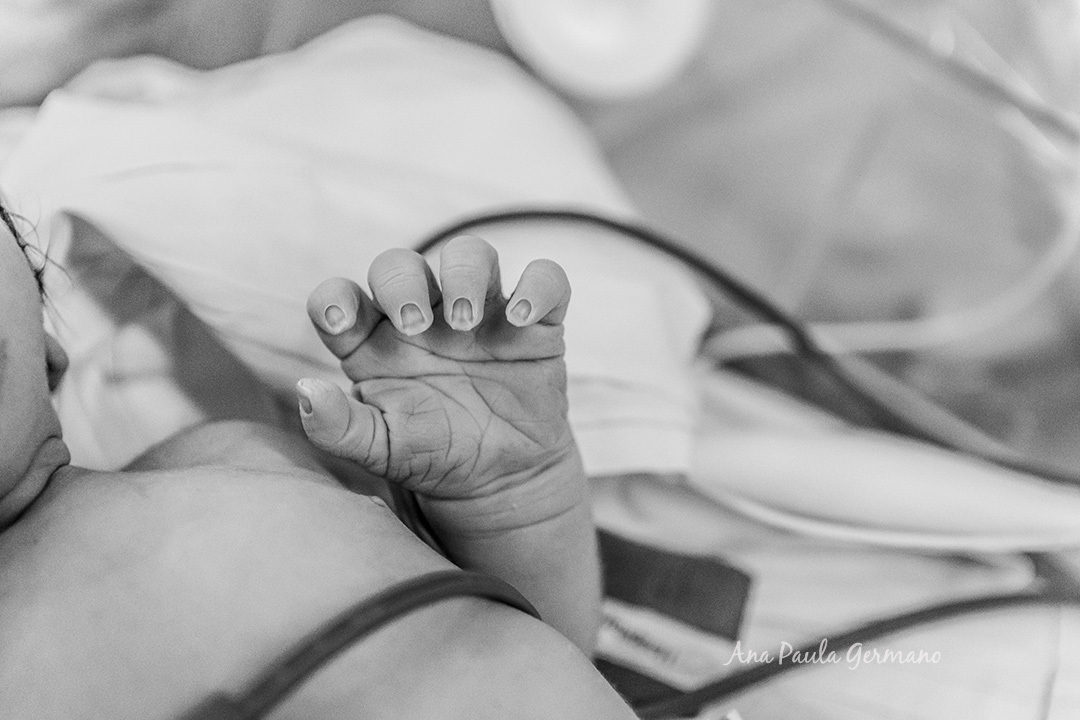 Hospital da Luz Vila Mariana | Fotografo de Parto Credenciado | 24