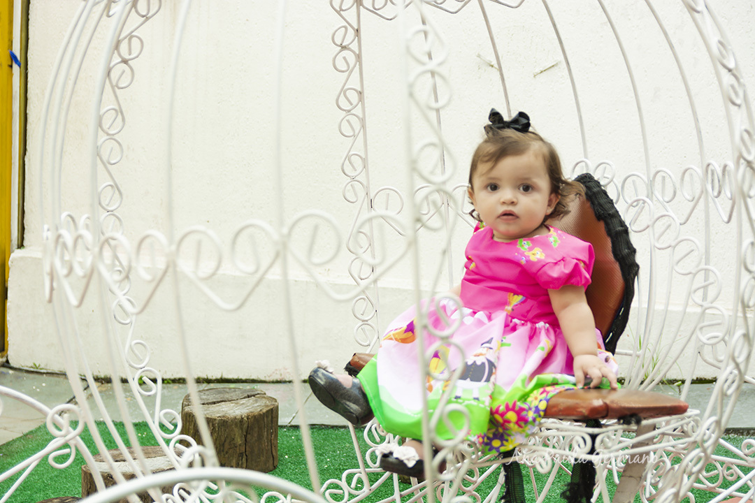 Fotógrafo Festa Infantil | Tema Mundo  Bita | 4