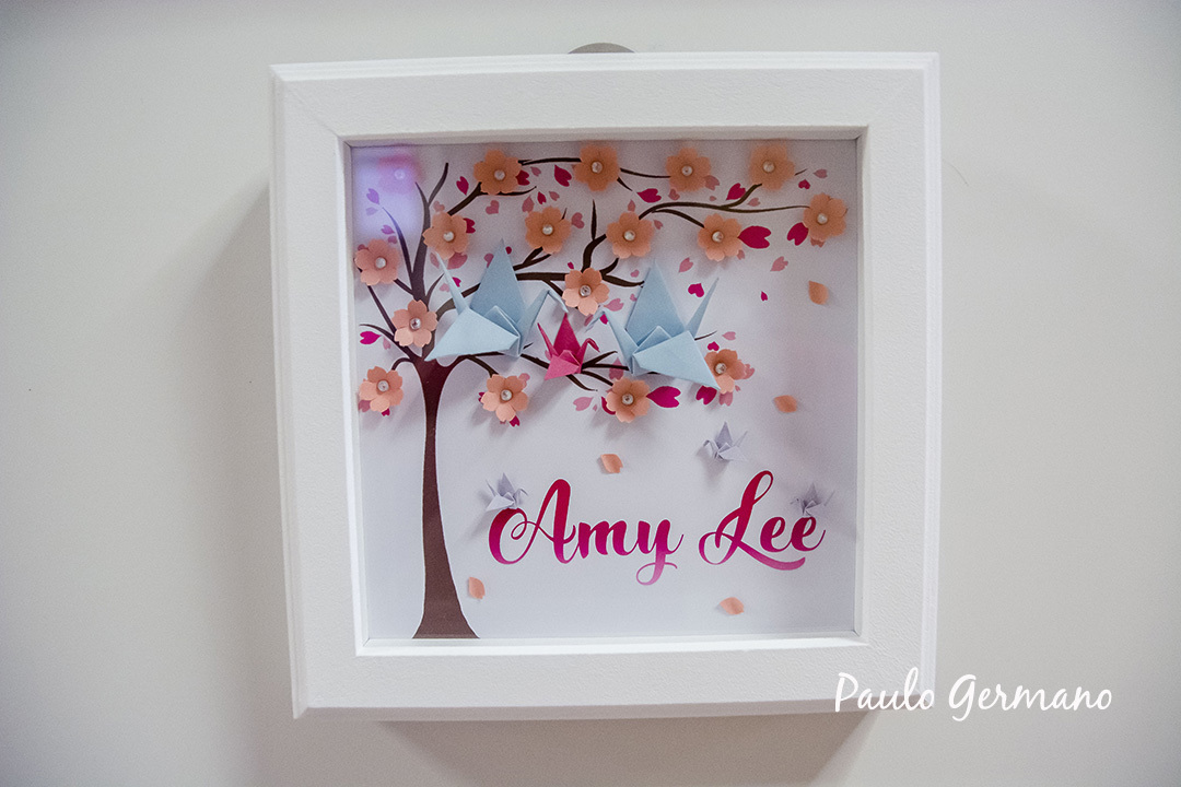 Fotografia de Parto - Cruz Azul/Sp - 13