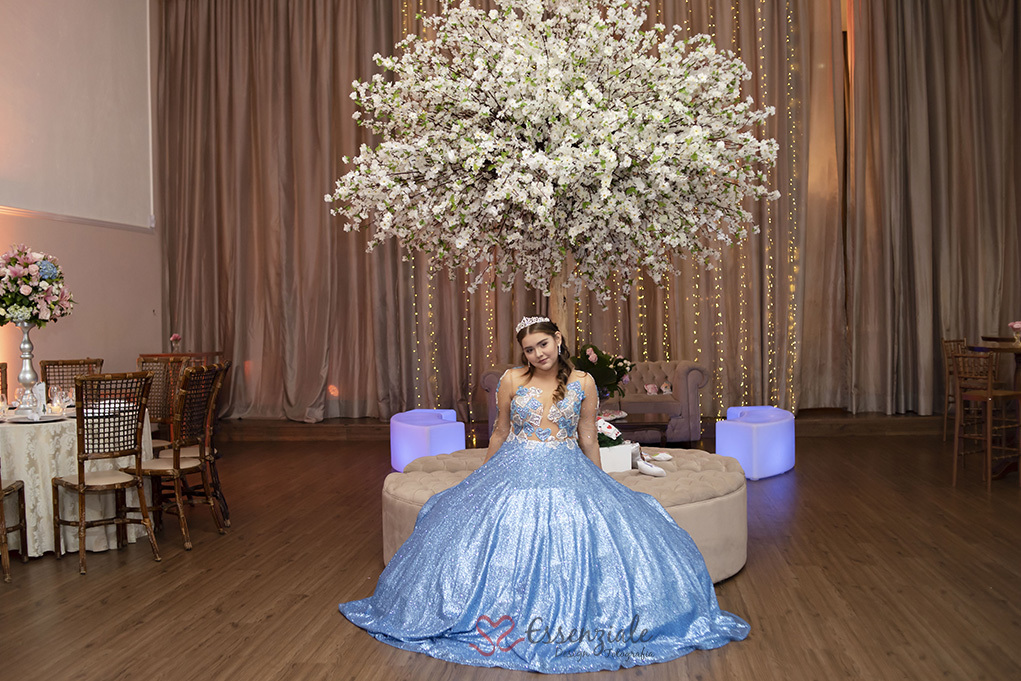 Festa 15 anos SP - Debutante - 8