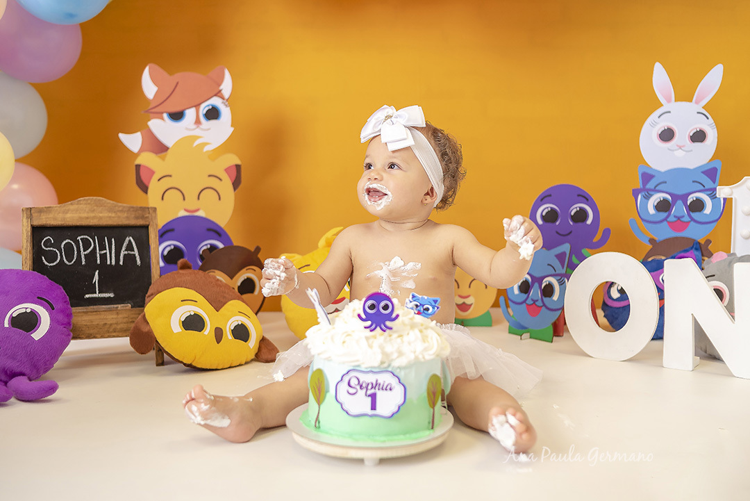 Smash the Cake Bolofofos | 29