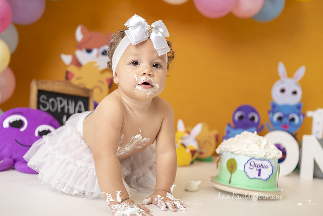 Smash the Cake Bolofofos | 38