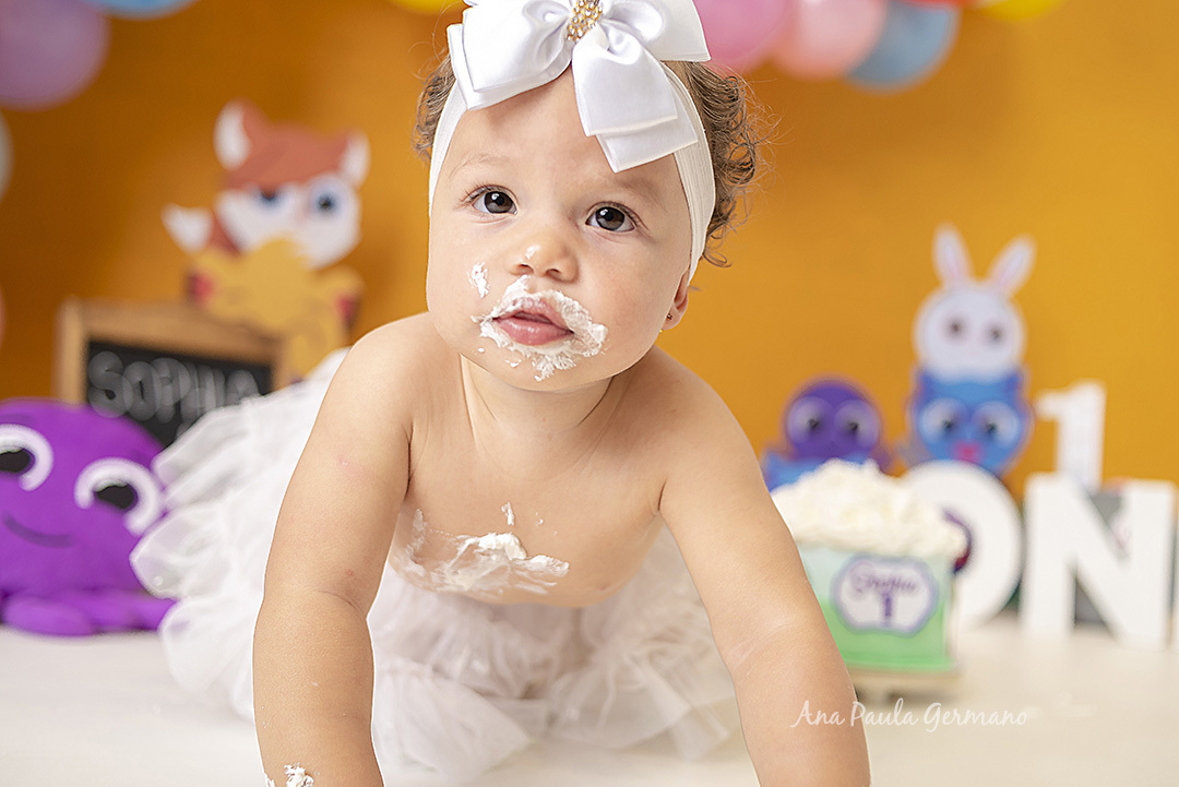 Smash the Cake Bolofofos | 40