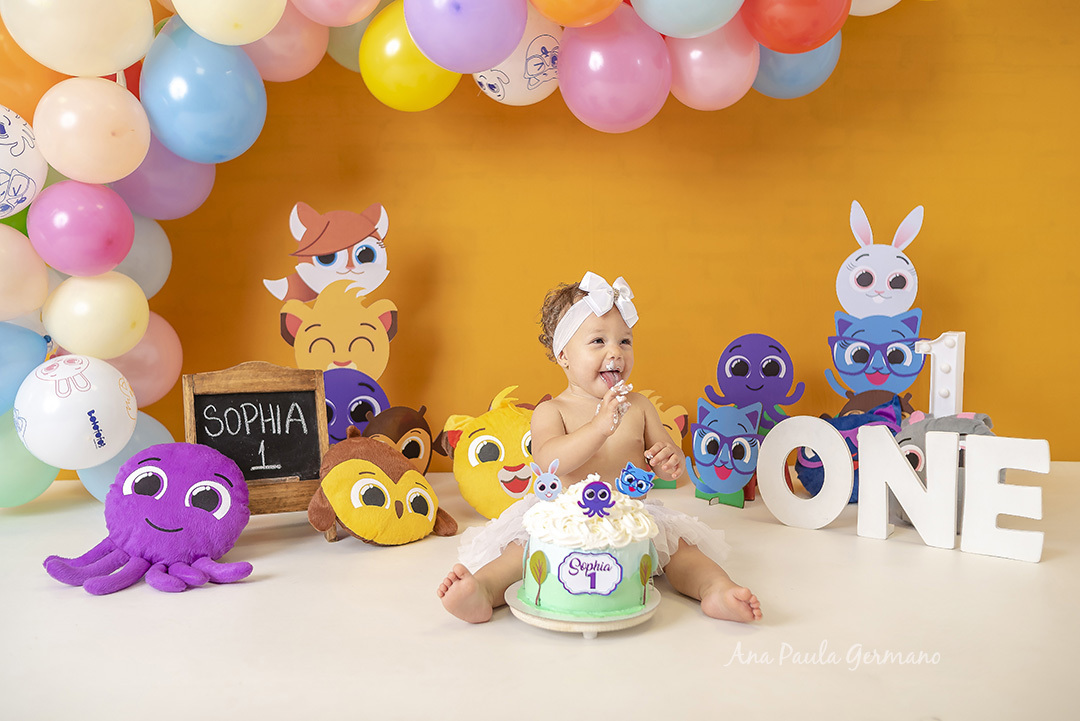 Smash the Cake Bolofofos | 21