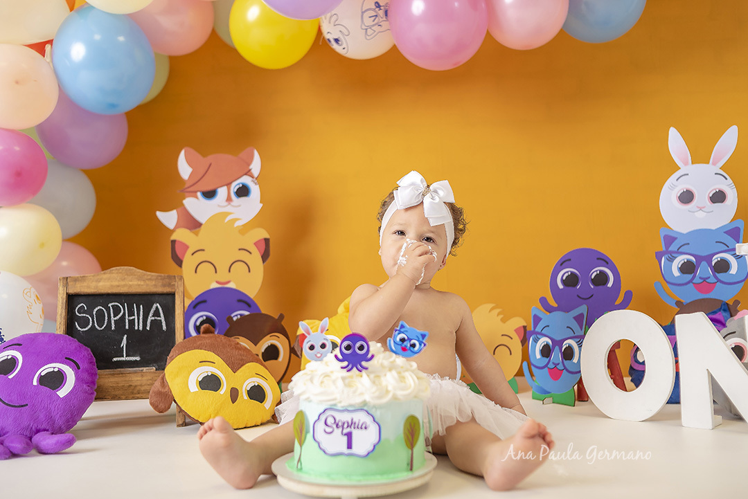 Smash the Cake Bolofofos | 23