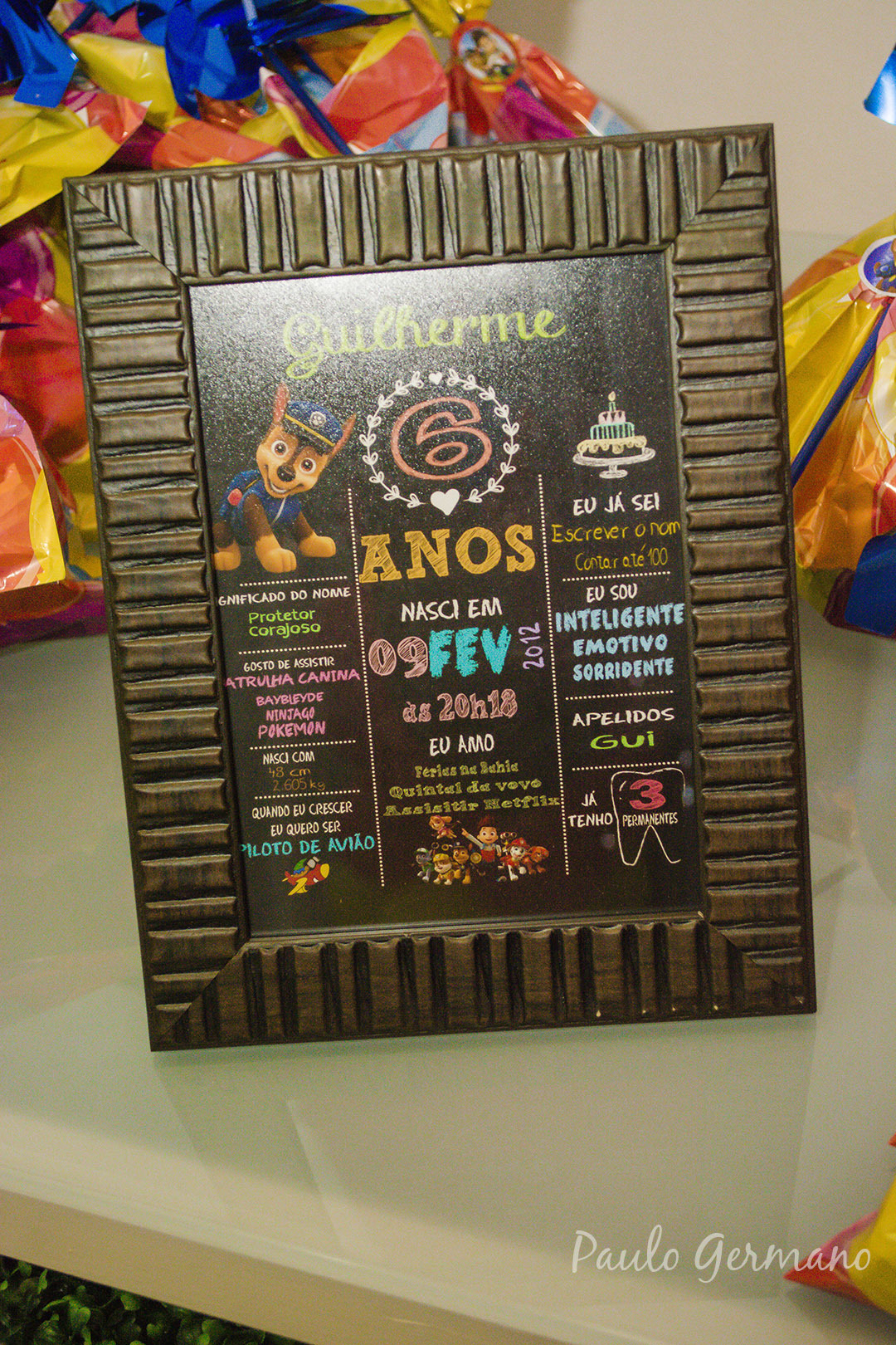 Aniversário Patrulha Canina