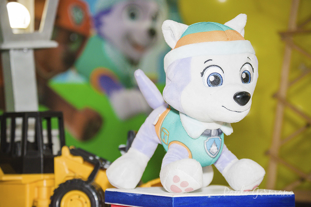 Aniversário Patrulha Canina