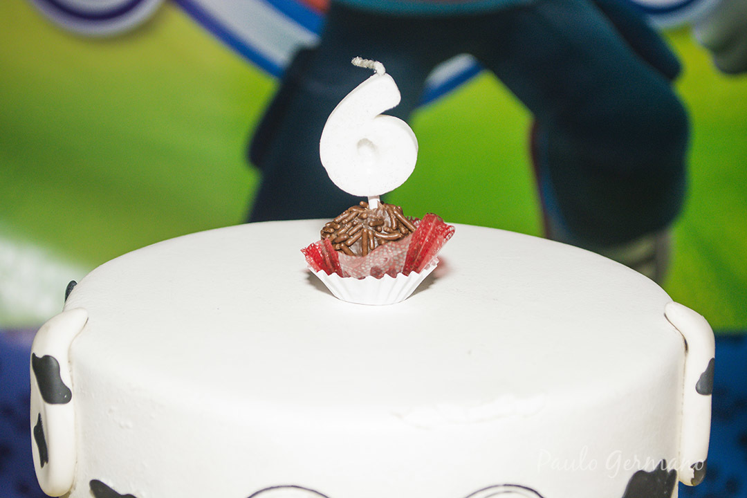 Aniversário Patrulha Canina