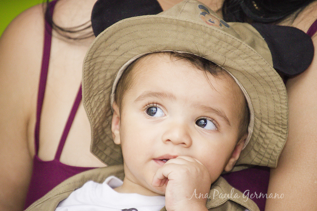 Aniversário infantil - mickey safari