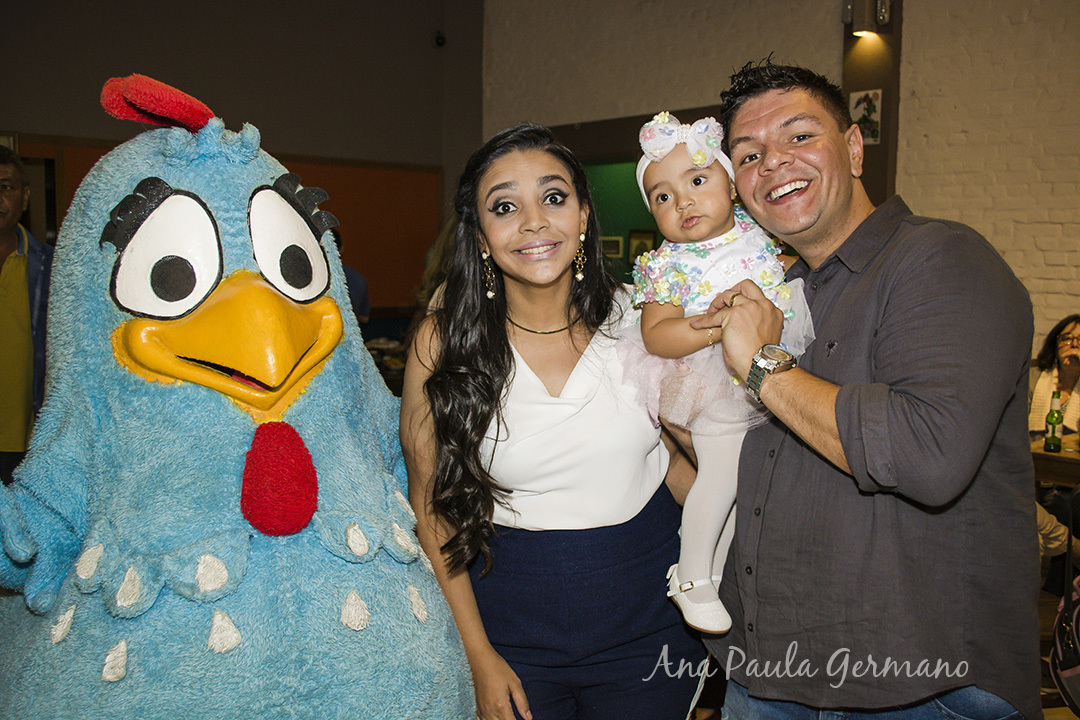 aniversário infantil - Galinha Pintadinha