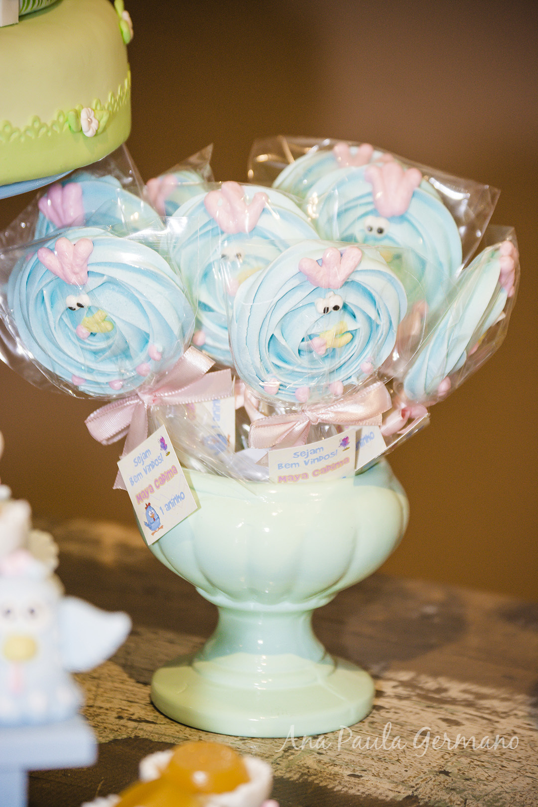 aniversário infantil - Galinha Pintadinha